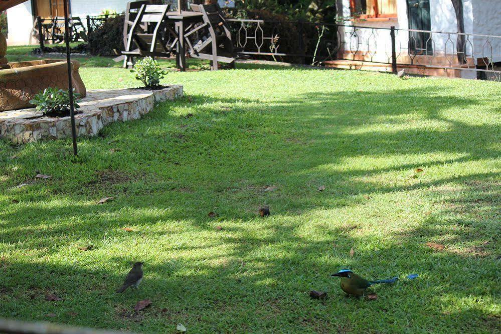 Ayenda Llanogrande Inn Ριονέγρο Εξωτερικό φωτογραφία